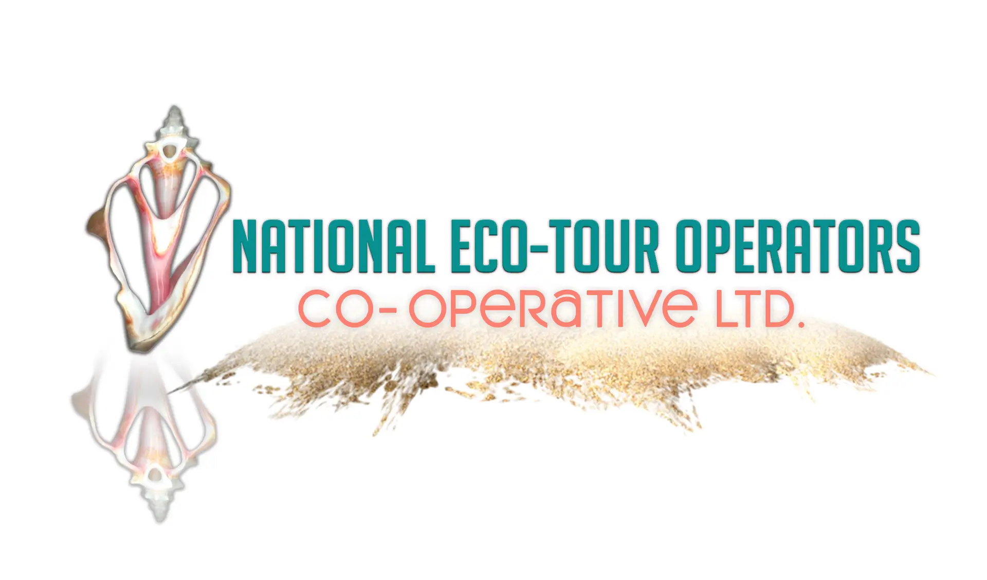 NETO Logo
